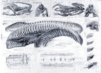 Alien III Blueprint